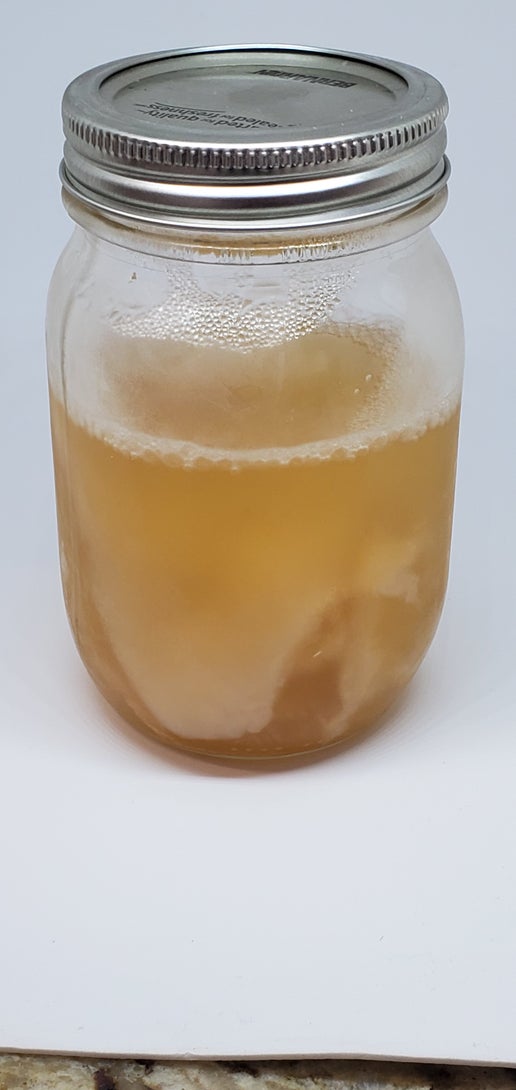 Scoby & Starter tea